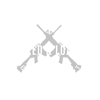 LOCKED N LOADED